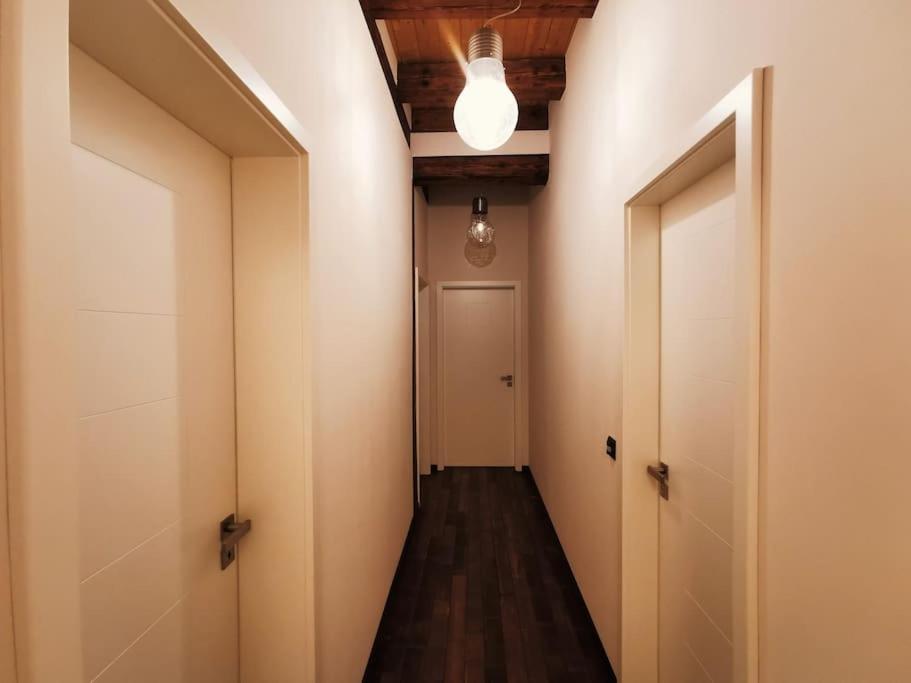 Komfortables Apartment Im Zentrum Erfurts 외부 사진