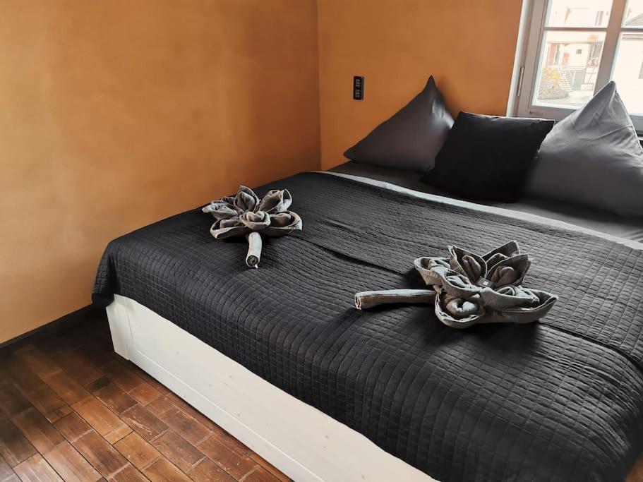 Komfortables Apartment Im Zentrum Erfurts 외부 사진