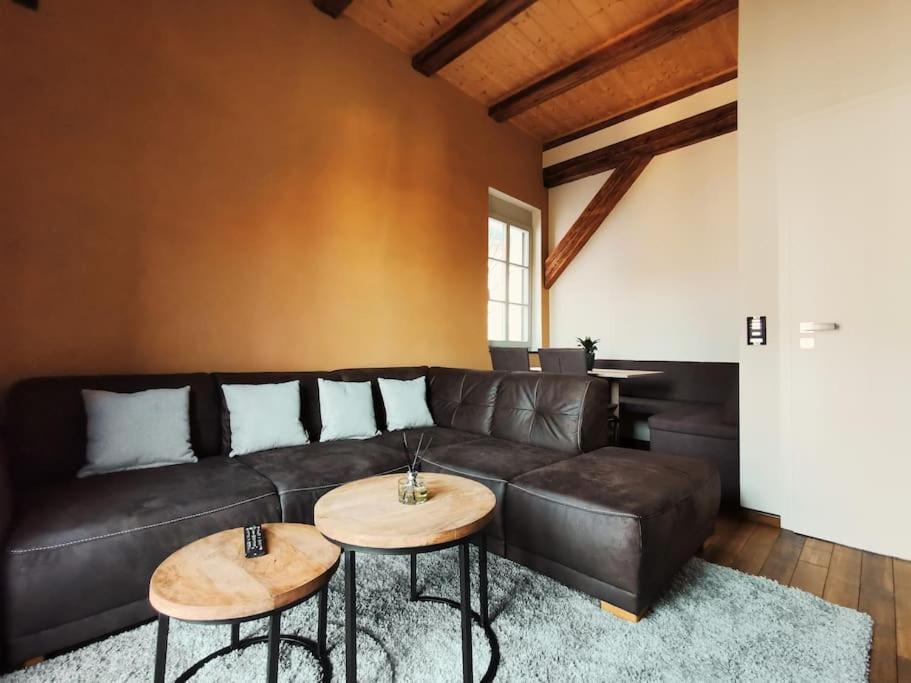 Komfortables Apartment Im Zentrum Erfurts 외부 사진